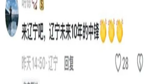 纽卡斯尔荣光重现，挑战利物浦争冠荣耀